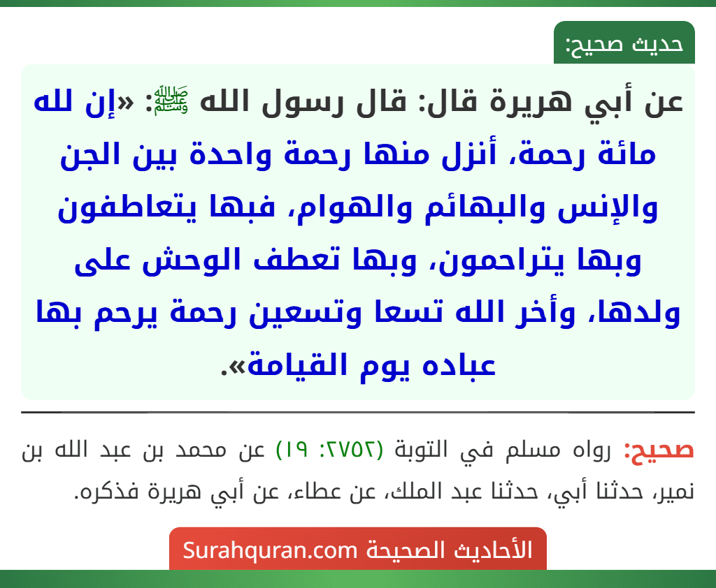 عن أبي هريرة قال: قال رسول الله ﷺ: «إن لله مائة رحمة، أنزل منها رحمة واحدة بين الجن والإنس والبهائم والهوام، فبها يتعاطفون وبها يتراحمون، وبها تعطف الوحش على ولدها، وأخر الله تسعا وتسعين رحمة يرحم بها عباده يوم القيامة».