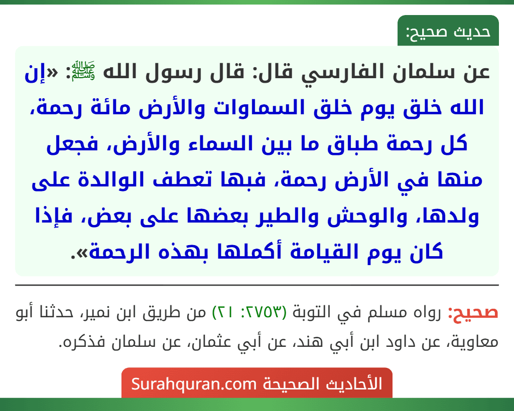 عن سلمان الفارسي قال: قال رسول الله ﷺ: «إن الله خلق يوم خلق السماوات والأرض مائة رحمة، كل رحمة طباق ما بين السماء والأرض، فجعل منها في الأرض رحمة، فبها تعطف الوالدة على ولدها، والوحش والطير بعضها على بعض، فإذا كان يوم القيامة أكملها بهذه الرحمة».