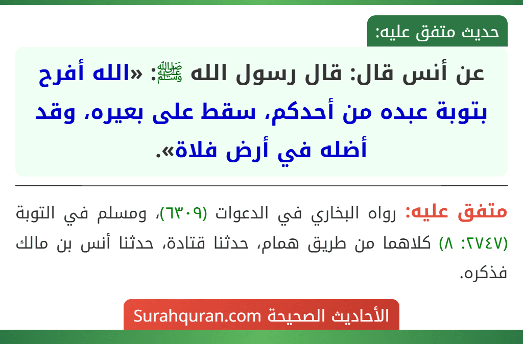 عن أنس قال: قال رسول الله ﷺ: «الله أفرح بتوبة عبده من أحدكم، سقط على بعيره، وقد أضله في أرض فلاة». عن أنس قال: قال رسول الله ﷺ: «الله أفرح بتوبة عبده من أحدكم، سقط على بعيره، وقد أضله في أرض فلاة».