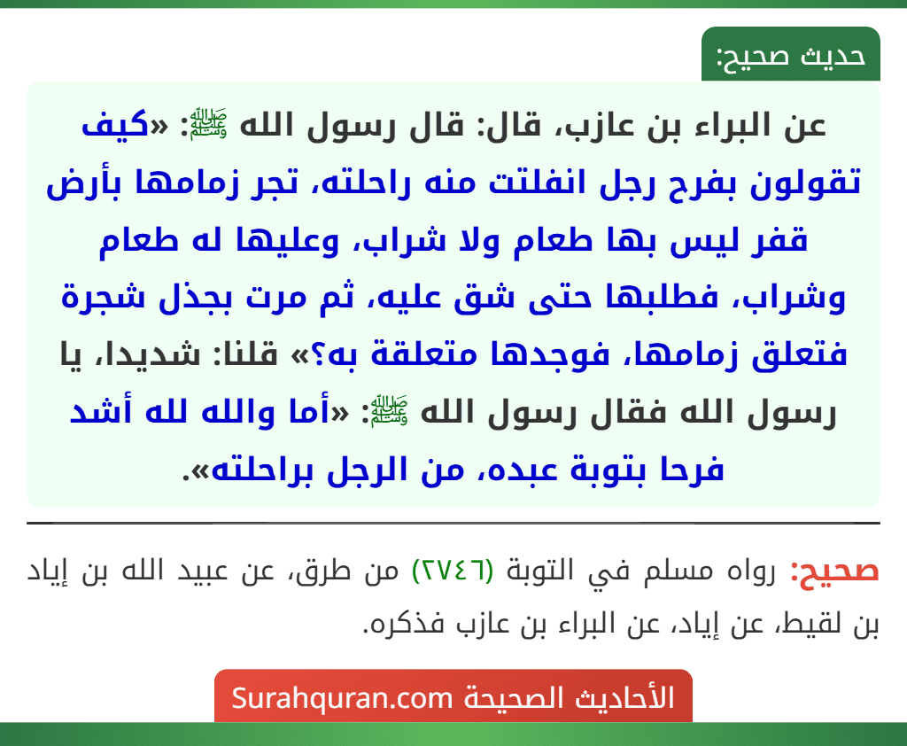 عن البراء بن عازب، قال: قال رسول الله ﷺ: «كيف تقولون بفرح رجل انفلتت منه راحلته، تجر زمامها بأرض قفر ليس بها طعام ولا شراب، وعليها له طعام وشراب، فطلبها حتى شق عليه، ثم مرت بجذل شجرة فتعلق زمامها، فوجدها متعلقة به؟» قلنا: شديدا، يا رسول الله فقال رسول الله ﷺ: «أما والله لله أشد فرحا بتوبة عبده، من الرجل براحلته». عن البراء بن عازب، قال: قال رسول الله ﷺ: «كيف تقولون بفرح رجل انفلتت منه راحلته، تجر زمامها بأرض قفر ليس بها طعام ولا شراب، وعليها له طعام وشراب، فطلبها حتى شق عليه، ثم مرت بجذل شجرة فتعلق زمامها، فوجدها متعلقة به؟» قلنا: شديدا، يا رسول الله فقال رسول الله ﷺ: «أما والله لله أشد فرحا بتوبة عبده، من الرجل براحلته».