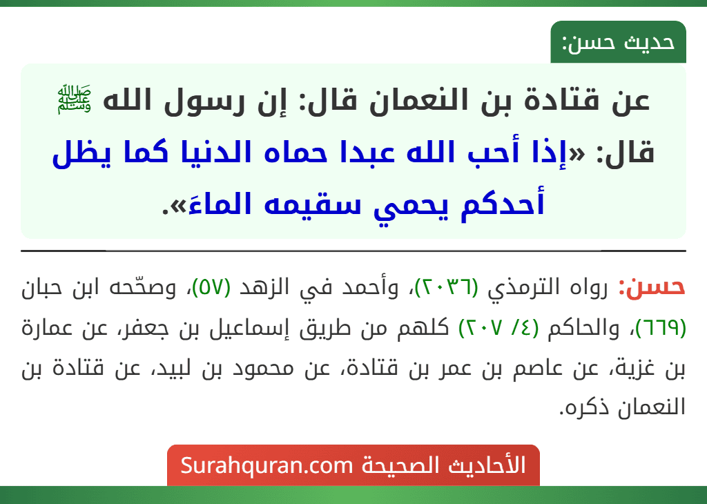 عن قتادة بن النعمان قال: إن رسول الله ﷺ قال: «إذا أحب الله عبدا حماه الدنيا كما يظل أحدكم يحمي سقيمه الماءَ». عن قتادة بن النعمان قال: إن رسول الله ﷺ قال: «إذا أحب الله عبدا حماه الدنيا كما يظل أحدكم يحمي سقيمه الماءَ».