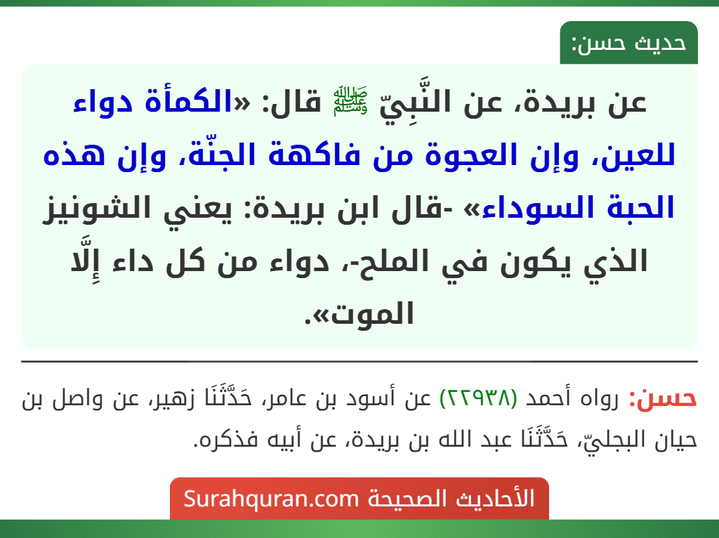 عن بريدة، عن النَّبِيّ ﷺ قال: «الكمأة دواء للعين، وإن العجوة من فاكهة الجنّة، وإن هذه الحبة السوداء» -قال ابن بريدة: يعني الشونيز الذي يكون في الملح-، دواء من كل داء إِلَّا الموت».