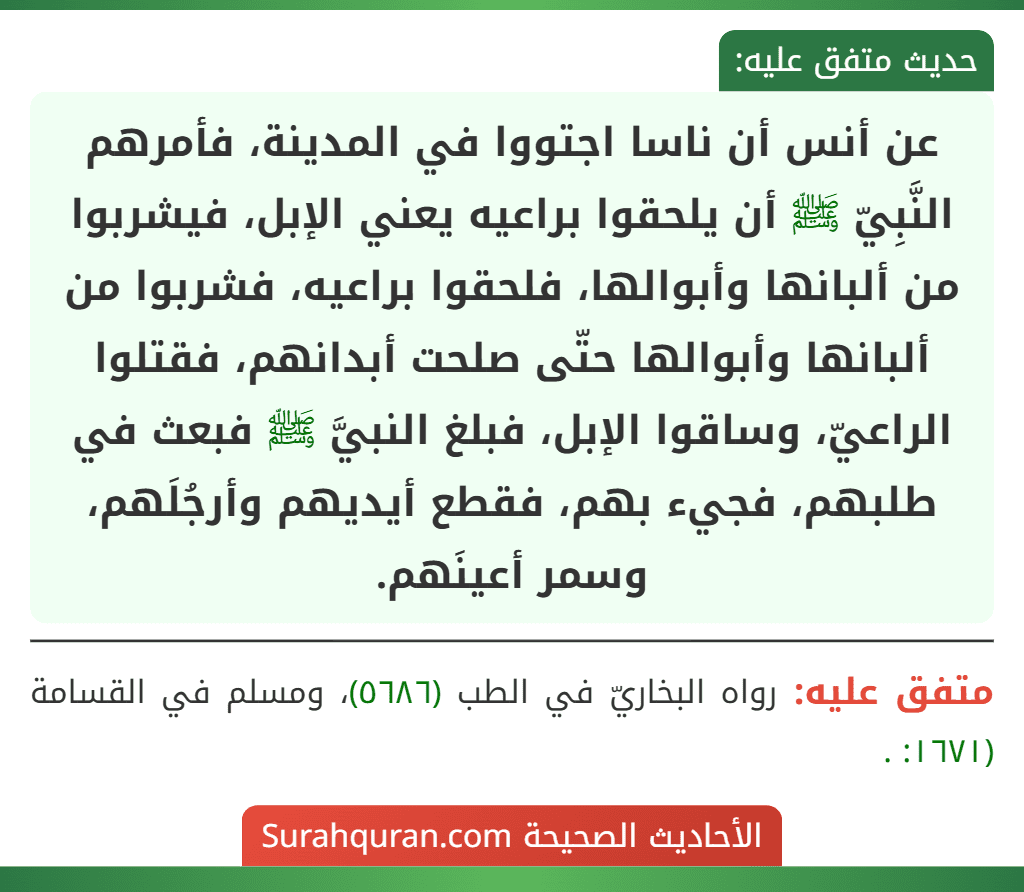 عن أنس أن ناسا اجتووا في المدينة، فأمرهم النَّبِيّ ﷺ أن يلحقوا براعيه يعني الإبل، فيشربوا من ألبانها وأبوالها، فلحقوا براعيه، فشربوا من ألبانها وأبوالها حتّى صلحت أبدانهم، فقتلوا الراعيّ، وساقوا الإبل، فبلغ النبيَّ ﷺ فبعث في طلبهم، فجيء بهم، فقطع أيديهم وأرجُلَهم، وسمر أعينَهم.