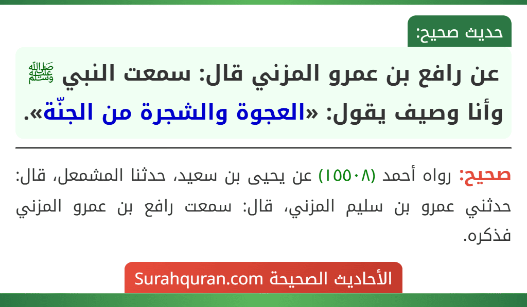 عن رافع بن عمرو المزني قال: سمعت النبي ﷺ وأنا وصيف يقول: «العجوة والشجرة من الجنّة». عن رافع بن عمرو المزني قال: سمعت النبي ﷺ وأنا وصيف يقول: «العجوة والشجرة من الجنّة».