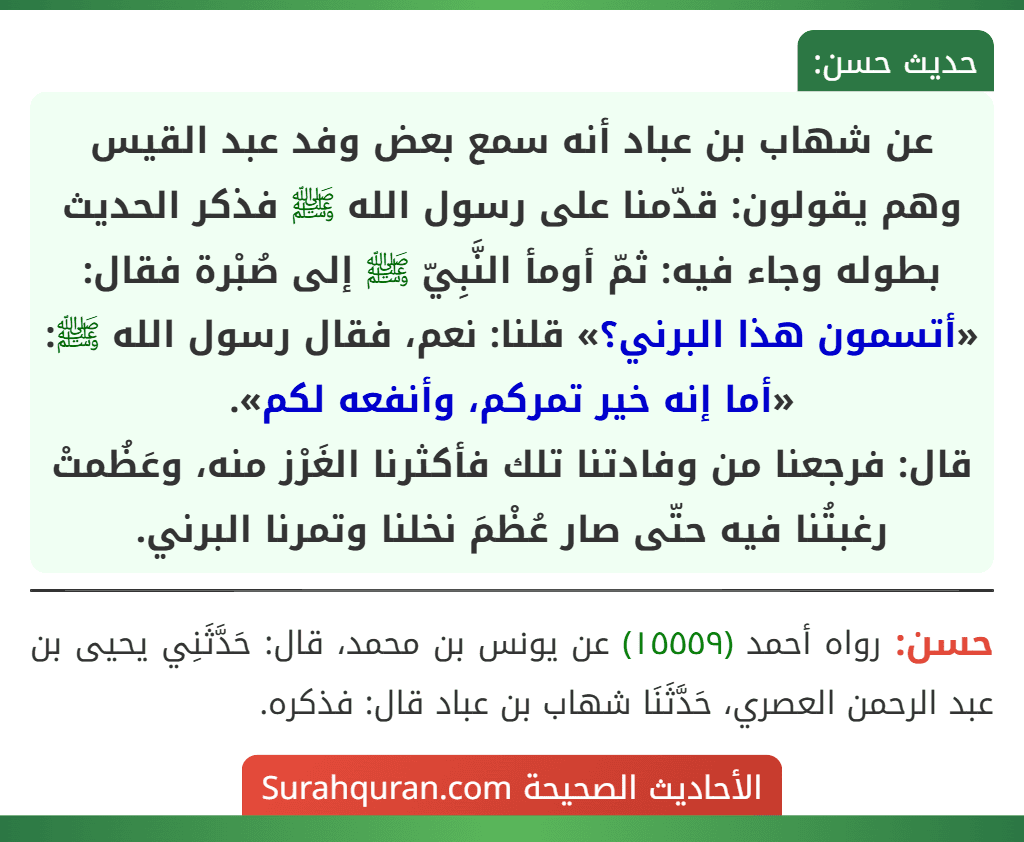 عن شهاب بن عباد أنه سمع بعض وفد عبد القيس وهم يقولون: قدّمنا على رسول الله ﷺ فذكر الحديث بطوله وجاء فيه: ثمّ أومأ النَّبِيّ ﷺ إلى صُبْرة فقال: «أتسمون هذا البرني؟» قلنا: نعم، فقال رسول الله ﷺ: «أما إنه خير تمركم، وأنفعه لكم».
قال: فرجعنا من وفادتنا تلك فأكثرنا الغَرْز منه، وعَظُمتْ رغبتُنا فيه حتّى صار عُظْمَ نخلنا وتمرنا البرني.