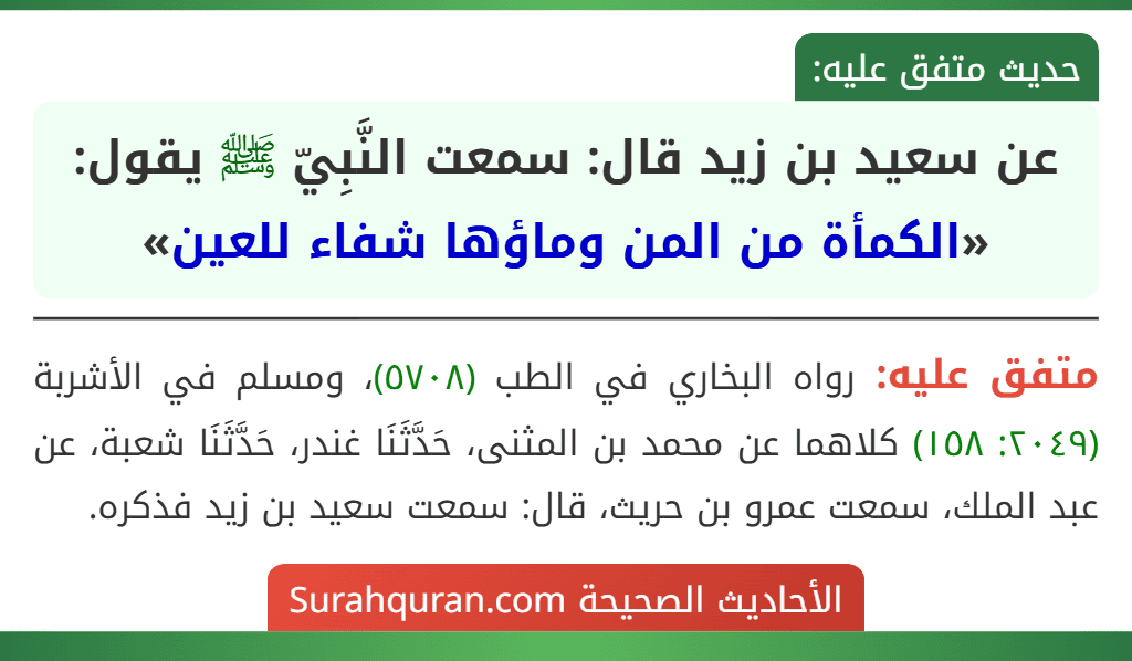عن سعيد بن زيد قال: سمعت النَّبِيّ ﷺ يقول: «الكمأة من المن وماؤها شفاء للعين»