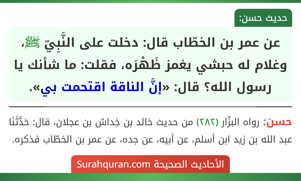 عن عمر بن الخطّاب قال: دخلت على النَّبِيّ ﷺ، وغلام له حبشي يغمز ظَهْرَه، فقلت: ما شأنك يا رسول الله؟ قال: «إنَّ الناقة اقتحمت بي». عن عمر بن الخطّاب قال: دخلت على النَّبِيّ ﷺ، وغلام له حبشي يغمز ظَهْرَه، فقلت: ما شأنك يا رسول الله؟ قال: «إنَّ الناقة اقتحمت بي».