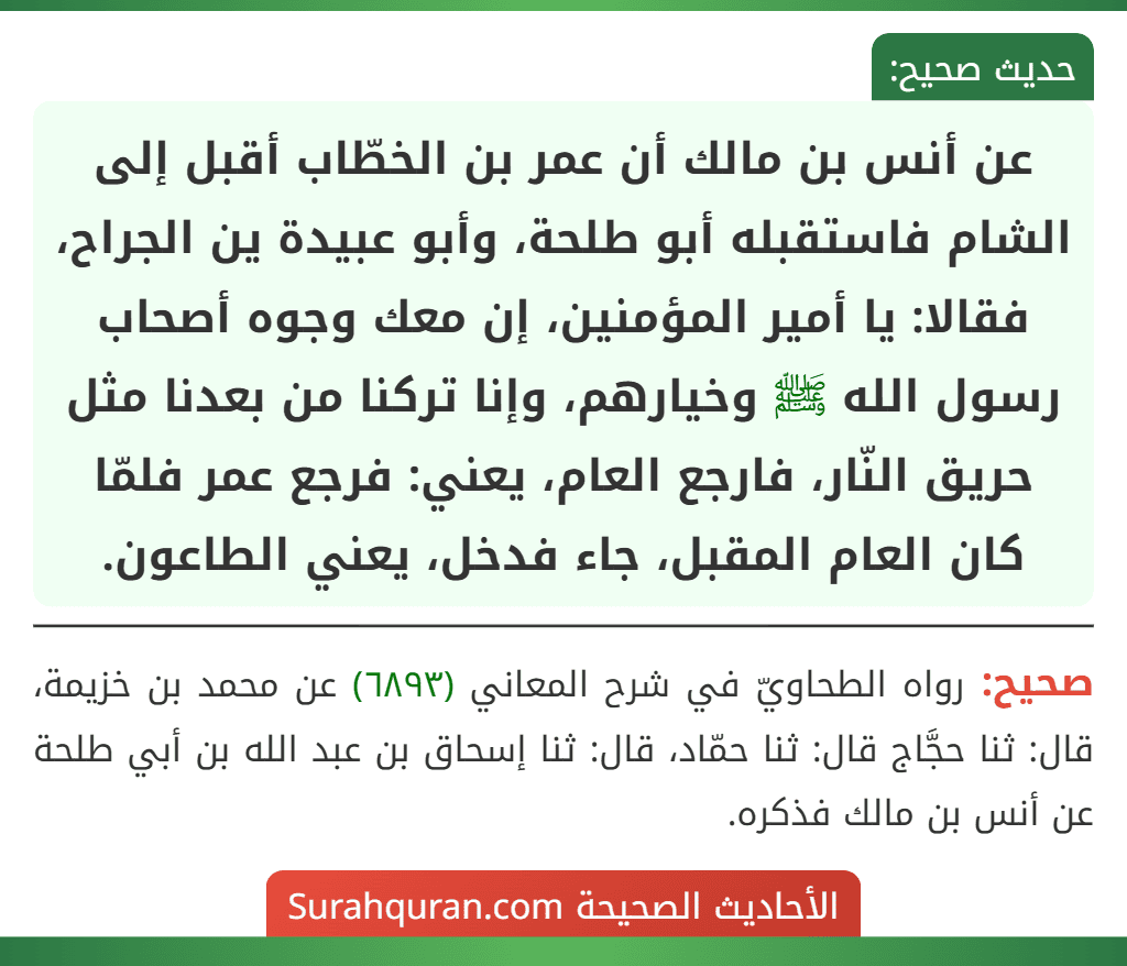 عن أنس بن مالك أن عمر بن الخطّاب أقبل إلى الشام فاستقبله أبو طلحة، وأبو عبيدة ين الجراح، فقالا: يا أمير المؤمنين، إن معك وجوه أصحاب رسول الله ﷺ وخيارهم، وإنا تركنا من بعدنا مثل حريق النّار، فارجع العام، يعني: فرجع عمر فلمّا كان العام المقبل، جاء فدخل، يعني الطاعون.