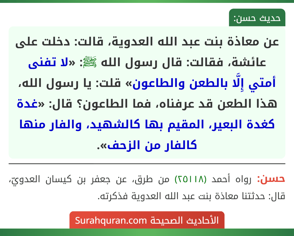 عن معاذة بنت عبد الله العدوية، قالت: دخلت على عائشة، فقالت: قال رسول الله ﷺ: «لا تفنى أمتي إِلَّا بالطعن والطاعون» قلت: يا رسول الله، هذا الطعن قد عرفناه، فما الطاعون؟ قال: «غدة كغدة البعير، المقيم بها كالشهيد، والفار منها كالفار من الزحف». عن معاذة بنت عبد الله العدوية، قالت: دخلت على عائشة، فقالت: قال رسول الله ﷺ: «لا تفنى أمتي إِلَّا بالطعن والطاعون» قلت: يا رسول الله، هذا الطعن قد عرفناه، فما الطاعون؟ قال: «غدة كغدة البعير، المقيم بها كالشهيد، والفار منها كالفار من الزحف».