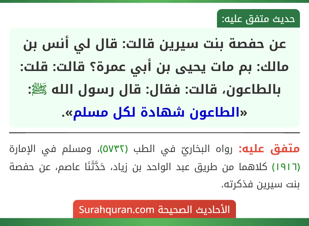 عن حفصة بنت سيرين قالت: قال لي أنس بن مالك: بم مات يحيى بن أبي عمرة؟ قالت: قلت: بالطاعون، قالت: فقال: قال رسول الله ﷺ: «الطاعون شهادة لكل مسلم».