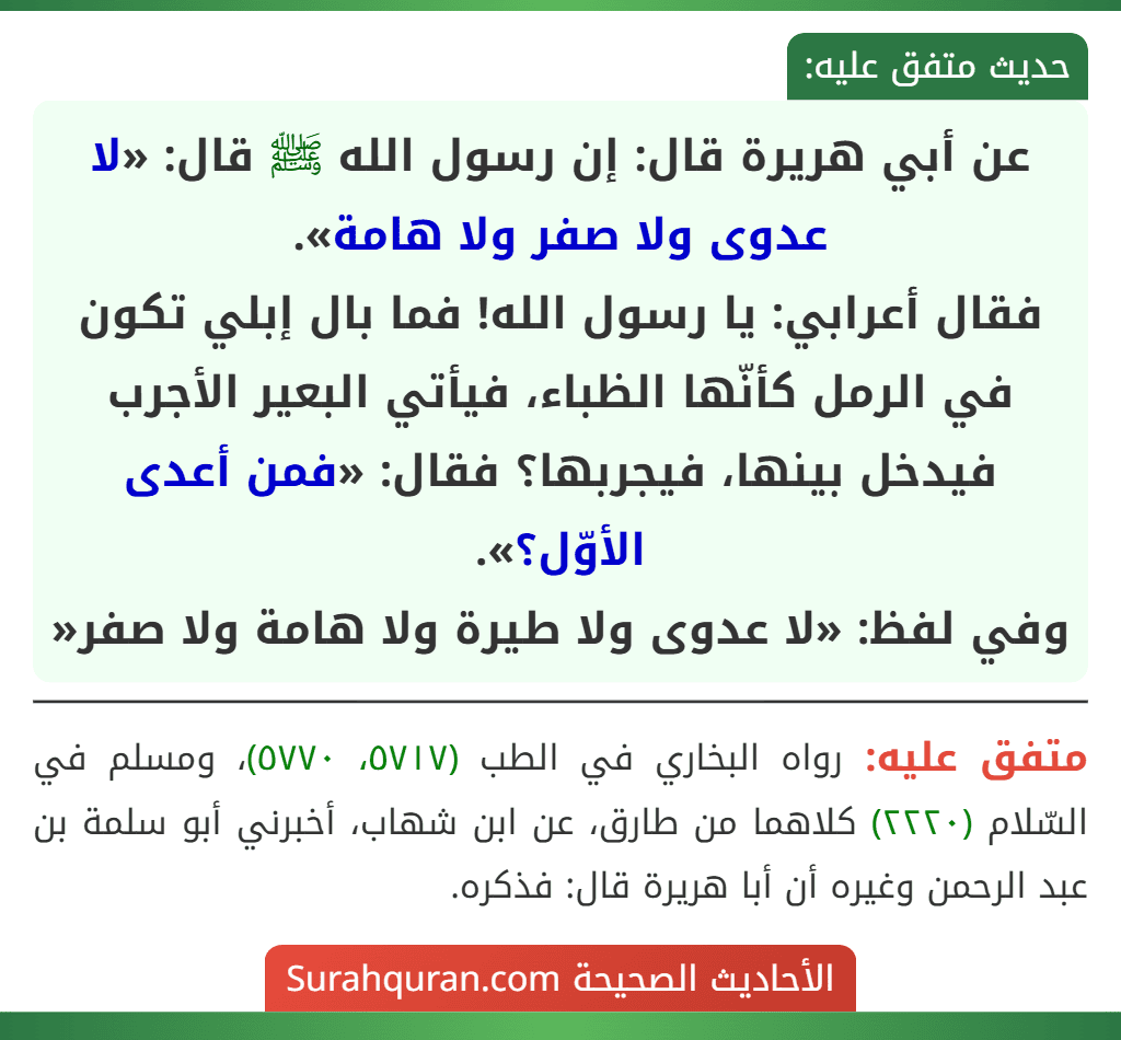 عن أبي هريرة قال: إن رسول الله ﷺ قال: «لا عدوى ولا صفر ولا هامة».
فقال أعرابي: يا رسول الله! فما بال إبلي تكون في الرمل كأنّها الظباء، فيأتي البعير الأجرب فيدخل بينها، فيجربها؟ فقال: «فمن أعدى الأوّل؟».
وفي لفظ: «لا عدوى ولا طيرة ولا هامة ولا صفر»