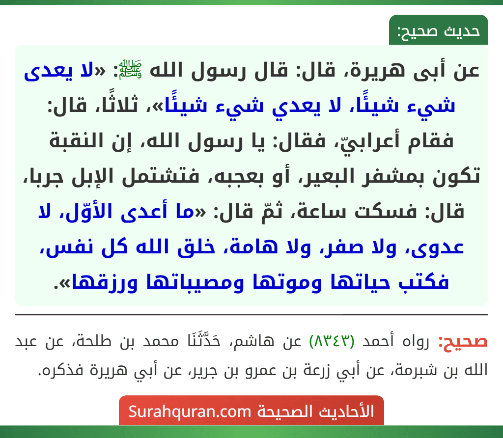 عن أبى هريرة، قال: قال رسول الله ﷺ: «لا يعدى شيء شيئًا، لا يعدي شيء شيئًا»، ثلاثًا، قال: فقام أعرابيّ، فقال: يا رسول الله، إن النقبة تكون بمشفر البعير، أو بعجبه، فتشتمل الإبل جربا، قال: فسكت ساعة، ثمّ قال: «ما أعدى الأوّل، لا عدوى، ولا صفر، ولا هامة، خلق الله كل نفس، فكتب حياتها وموتها ومصيباتها ورزقها».