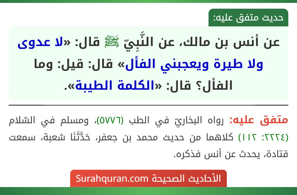 عن أنس بن مالك، عن النَّبِيّ ﷺ قال: «لا عدوى ولا طيرة ويعجبني الفأل» قال: قيل: وما الفأل؟ قال: «الكلمة الطيبة».