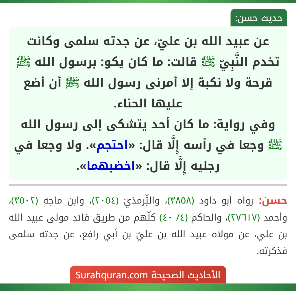 عن عبيد الله بن عليّ، عن جدته سلمى وكانت تخدم النَّبِيّ ﷺ قالت: ما كان يكو: برسول الله ﷺ قرحة ولا نكبة إلا أمرنى رسول الله ﷺ أن أضع عليها الحناء.
وفي رواية: ما كان أحد يتشكى إلى رسول الله ﷺ وجعا في رأسه إِلَّا قال: «احتجم». ولا وجعا في رجليه إِلَّا قال: «اخضبهما». عن عبيد الله بن عليّ، عن جدته سلمى وكانت تخدم النَّبِيّ ﷺ قالت: ما كان يكو: برسول الله ﷺ قرحة ولا نكبة إلا أمرنى رسول الله ﷺ أن أضع عليها الحناء.
وفي رواية: ما كان أحد يتشكى إلى رسول الله ﷺ وجعا في رأسه إِلَّا قال: «احتجم». ولا وجعا في رجليه إِلَّا قال: «اخضبهما».