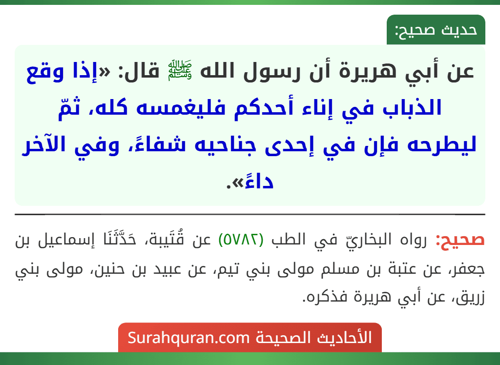 عن أبي هريرة أن رسول الله ﷺ قال: «إذا وقع الذباب في إناء أحدكم فليغمسه كله، ثمّ ليطرحه فإن في إحدى جناحيه شفاءً، وفي الآخر داءً».