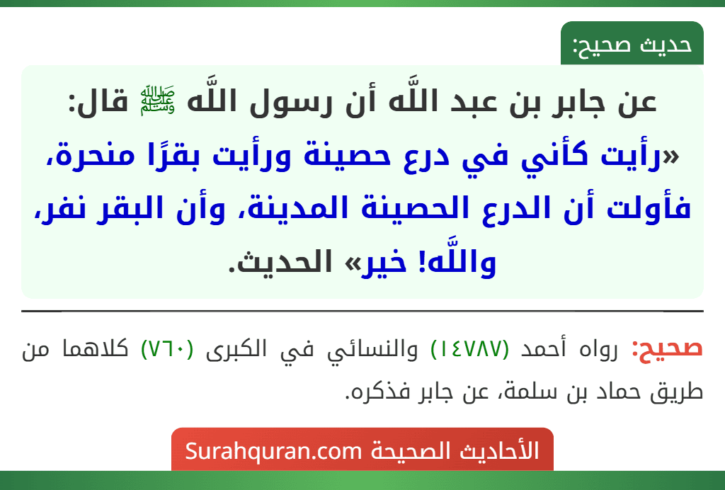 عن جابر بن عبد اللَّه أن رسول اللَّه ﷺ قال: «رأيت كأني في درع حصينة ورأيت بقرًا منحرة، فأولت أن الدرع الحصينة المدينة، وأن البقر نفر، واللَّه! خير» الحديث. عن جابر بن عبد اللَّه أن رسول اللَّه ﷺ قال: «رأيت كأني في درع حصينة ورأيت بقرًا منحرة، فأولت أن الدرع الحصينة المدينة، وأن البقر نفر، واللَّه! خير» الحديث.
