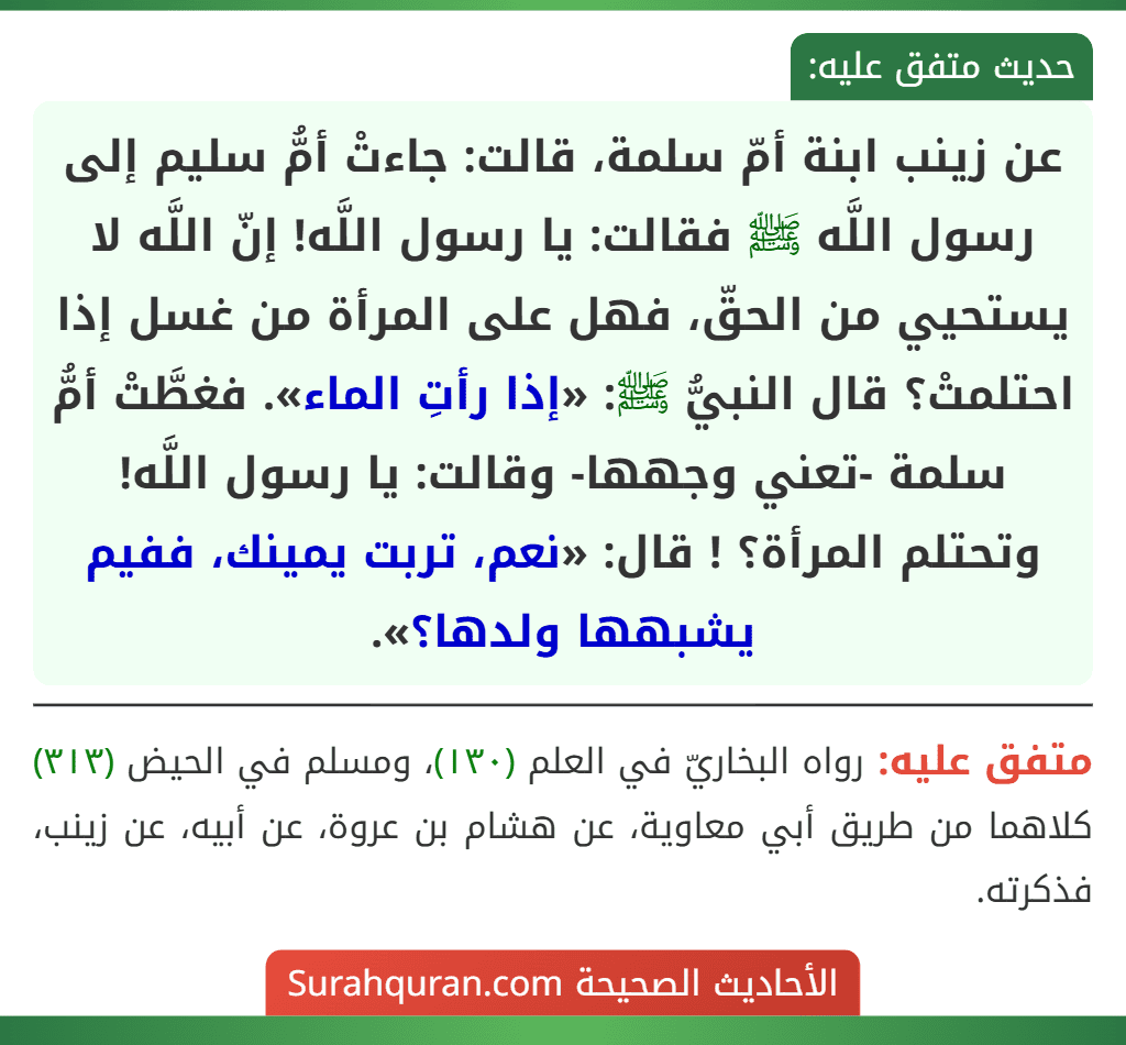 عن زينب ابنة أمّ سلمة، قالت: جاءتْ أمُّ سليم إلى رسول اللَّه ﷺ فقالت: يا رسول اللَّه! إنّ اللَّه لا يستحيي من الحقّ، فهل على المرأة من غسل إذا احتلمتْ؟ قال النبيُّ ﷺ: «إذا رأتِ الماء». فغطَّتْ أمُّ سلمة -تعني وجهها- وقالت: يا رسول اللَّه! وتحتلم المرأة؟ ! قال: «نعم، تربت يمينك، ففيم يشبهها ولدها؟». عن زينب ابنة أمّ سلمة، قالت: جاءتْ أمُّ سليم إلى رسول اللَّه ﷺ فقالت: يا رسول اللَّه! إنّ اللَّه لا يستحيي من الحقّ، فهل على المرأة من غسل إذا احتلمتْ؟ قال النبيُّ ﷺ: «إذا رأتِ الماء». فغطَّتْ أمُّ سلمة -تعني وجهها- وقالت: يا رسول اللَّه! وتحتلم المرأة؟ ! قال: «نعم، تربت يمينك، ففيم يشبهها ولدها؟».