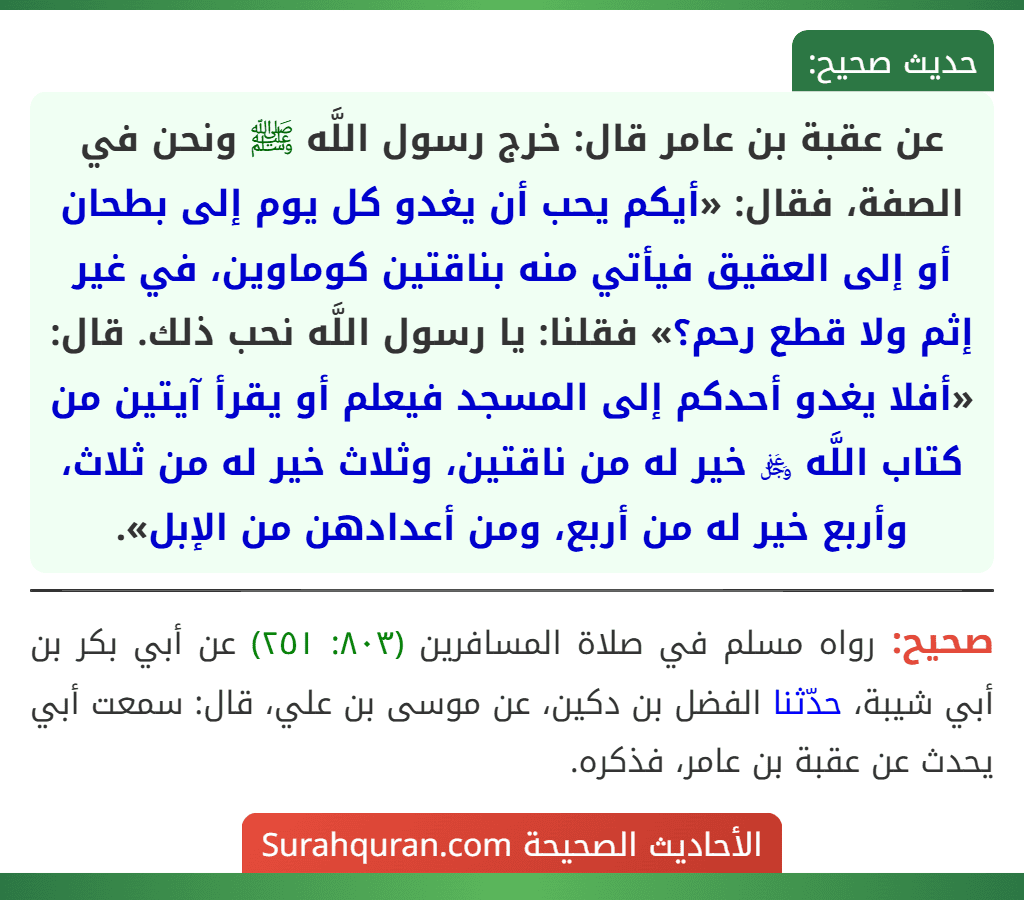 عن عقبة بن عامر قال: خرج رسول اللَّه ﷺ ونحن في الصفة، فقال: «أيكم يحب أن يغدو كل يوم إلى بطحان أو إلى العقيق فيأتي منه بناقتين كوماوين، في غير إثم ولا قطع رحم؟» فقلنا: يا رسول اللَّه نحب ذلك. قال: «أفلا يغدو أحدكم إلى المسجد فيعلم أو يقرأ آيتين من كتاب اللَّه ﷿ خير له من ناقتين، وثلاث خير له من ثلاث، وأربع خير له من أربع، ومن أعدادهن من الإبل». عن عقبة بن عامر قال: خرج رسول اللَّه ﷺ ونحن في الصفة، فقال: «أيكم يحب أن يغدو كل يوم إلى بطحان أو إلى العقيق فيأتي منه بناقتين كوماوين، في غير إثم ولا قطع رحم؟» فقلنا: يا رسول اللَّه نحب ذلك. قال: «أفلا يغدو أحدكم إلى المسجد فيعلم أو يقرأ آيتين من كتاب اللَّه ﷿ خير له من ناقتين، وثلاث خير له من ثلاث، وأربع خير له من أربع، ومن أعدادهن من الإبل».