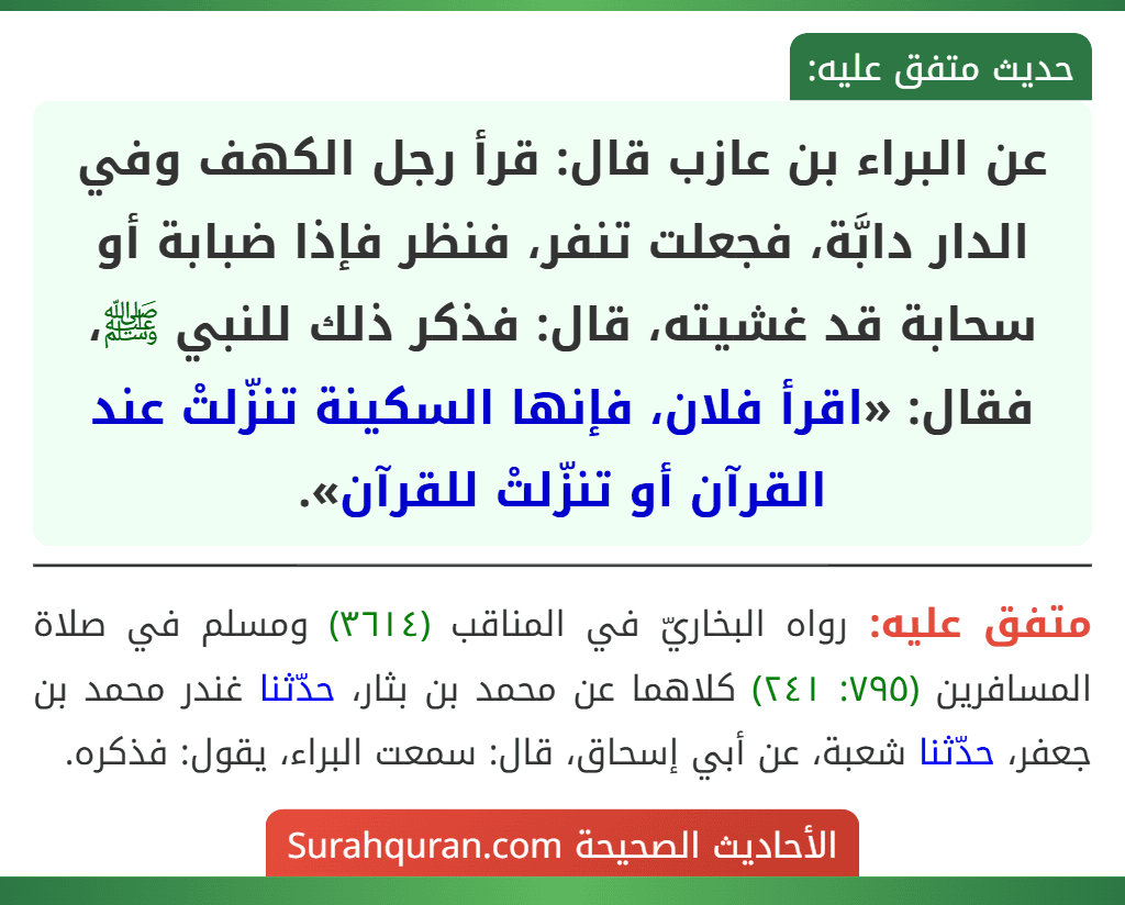 عن البراء بن عازب قال: قرأ رجل الكهف وفي الدار دابَّة، فجعلت تنفر، فنظر فإذا ضبابة أو سحابة قد غشيته، قال: فذكر ذلك للنبي ﷺ، فقال: «اقرأ فلان، فإنها السكينة تنزّلتْ عند القرآن أو تنزّلتْ للقرآن».