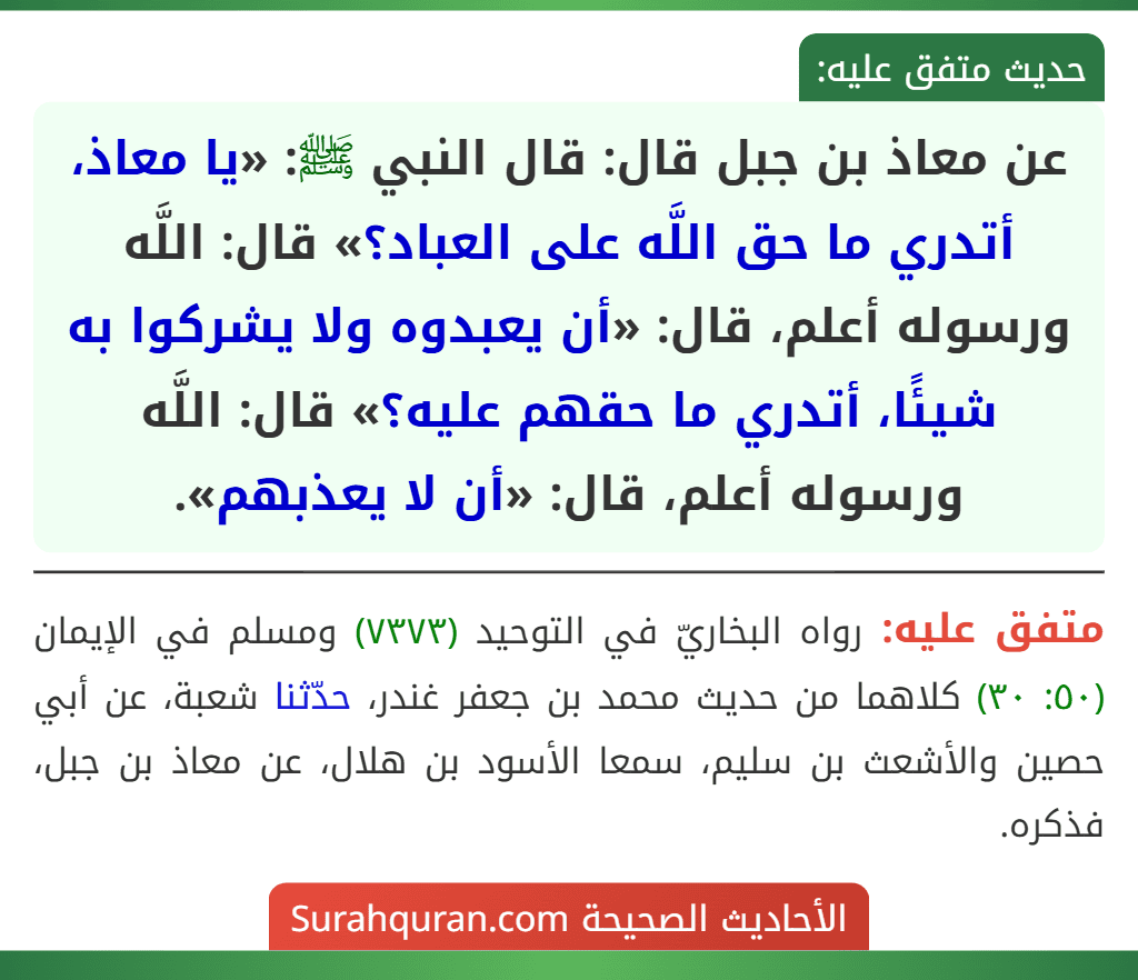 عن معاذ بن جبل قال: قال النبي ﷺ: «يا معاذ، أتدري ما حق اللَّه على العباد؟» قال: اللَّه ورسوله أعلم، قال: «أن يعبدوه ولا يشركوا به شيئًا، أتدري ما حقهم عليه؟» قال: اللَّه ورسوله أعلم، قال: «أن لا يعذبهم».