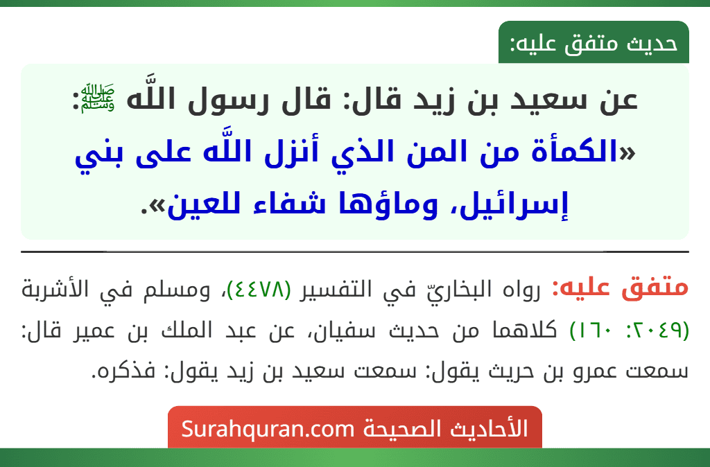 عن سعيد بن زيد قال: قال رسول اللَّه ﷺ: «الكمأة من المن الذي أنزل اللَّه على بني إسرائيل، وماؤها شفاء للعين». عن سعيد بن زيد قال: قال رسول اللَّه ﷺ: «الكمأة من المن الذي أنزل اللَّه على بني إسرائيل، وماؤها شفاء للعين».