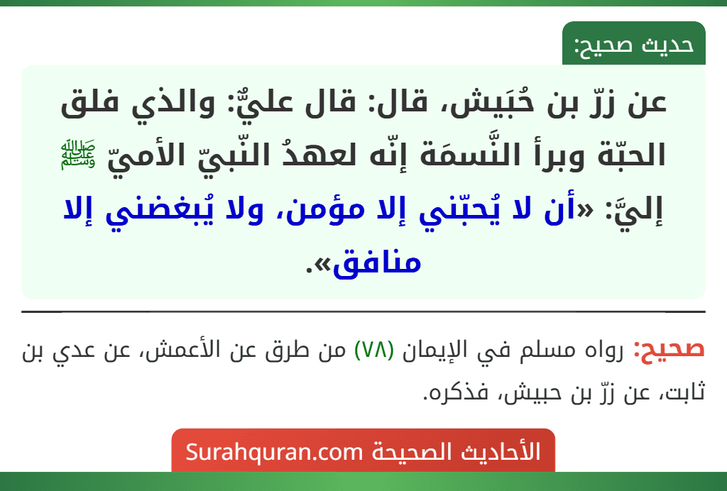 عن زرّ بن حُبَيش، قال: قال عليٌّ: والذي فلق الحبّة وبرأ النَّسمَة إنّه لعهدُ النّبيّ الأميّ ﷺ إليَّ: «أن لا يُحبّني إلا مؤمن، ولا يُبغضني إلا منافق».
