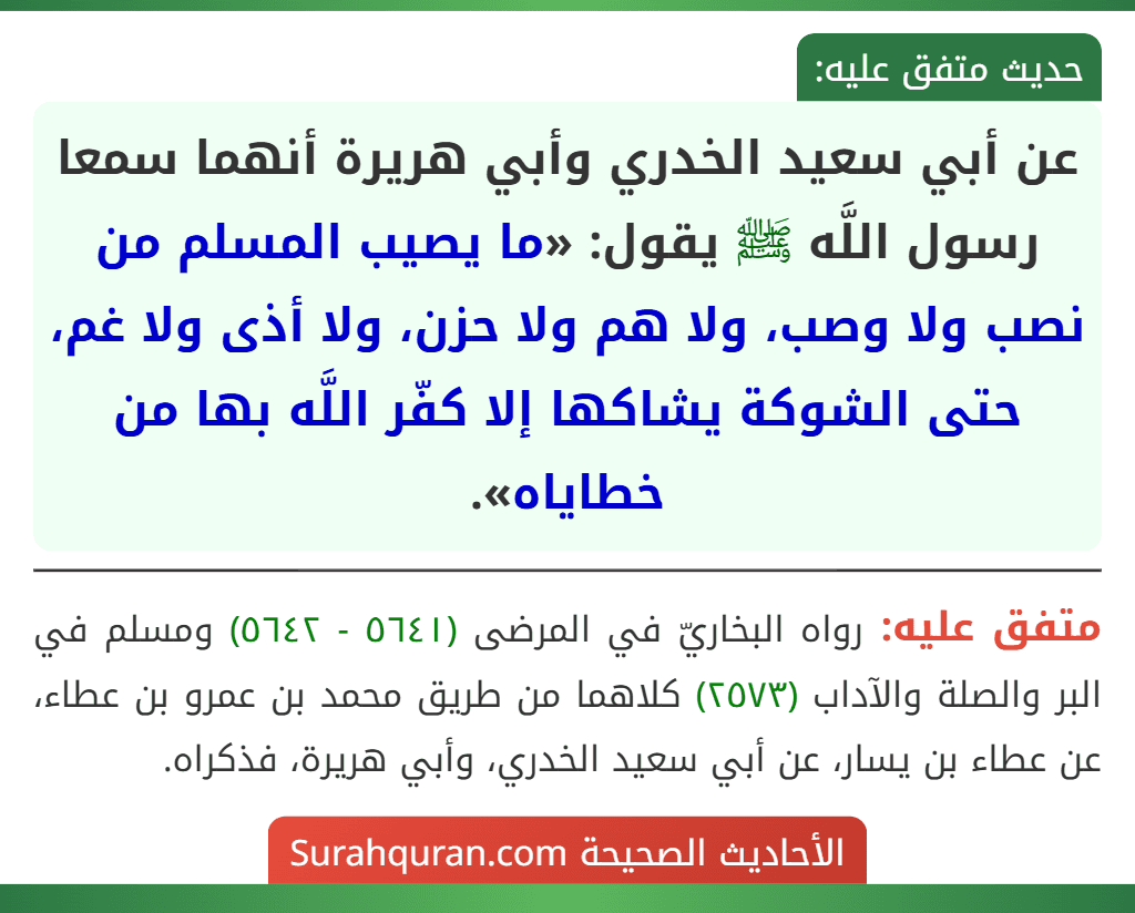 عن أبي سعيد الخدري وأبي هريرة أنهما سمعا رسول اللَّه ﷺ يقول: «ما يصيب المسلم من نصب ولا وصب، ولا هم ولا حزن، ولا أذى ولا غم، حتى الشوكة يشاكها إلا كفّر اللَّه بها من خطاياه». عن أبي سعيد الخدري وأبي هريرة أنهما سمعا رسول اللَّه ﷺ يقول: «ما يصيب المسلم من نصب ولا وصب، ولا هم ولا حزن، ولا أذى ولا غم، حتى الشوكة يشاكها إلا كفّر اللَّه بها من خطاياه».