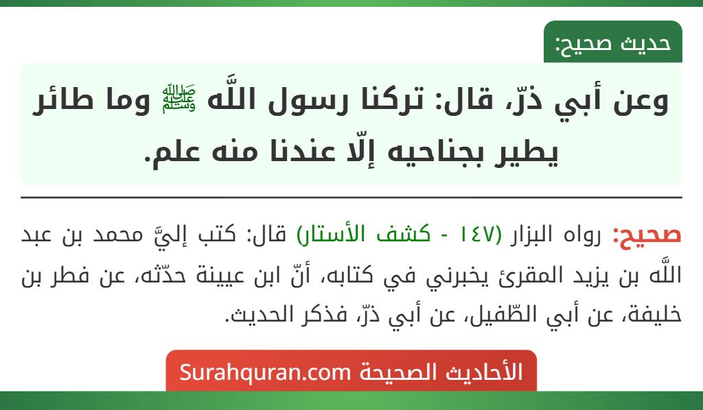 وعن أبي ذرّ، قال: تركنا رسول اللَّه ﷺ وما طائر يطير بجناحيه إلّا عندنا منه علم.