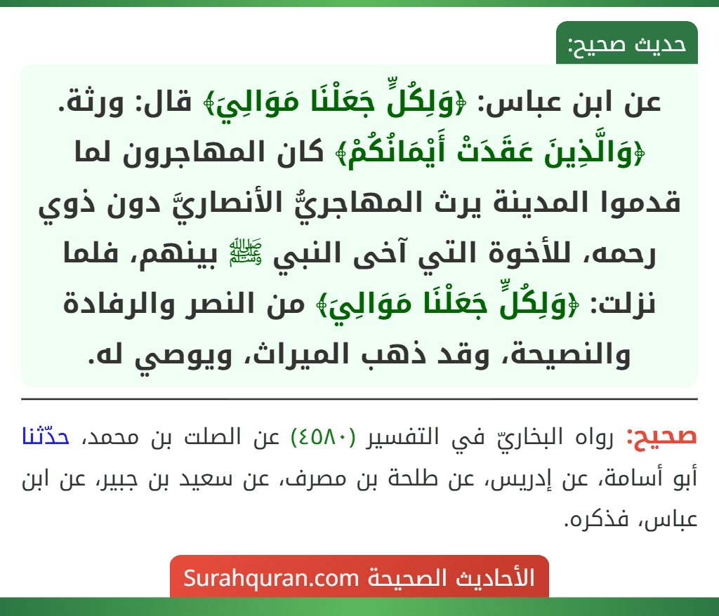 عن ابن عباس: ﴿وَلِكُلٍّ جَعَلْنَا مَوَالِيَ﴾ قال: ورثة. ﴿وَالَّذِينَ عَقَدَتْ أَيْمَانُكُمْ﴾ كان المهاجرون لما قدموا المدينة يرث المهاجريُّ الأنصاريَّ دون ذوي رحمه، للأخوة التي آخى النبي ﷺ بينهم، فلما نزلت: ﴿وَلِكُلٍّ جَعَلْنَا مَوَالِيَ﴾ من النصر والرفادة
والنصيحة، وقد ذهب الميراث، ويوصي له.