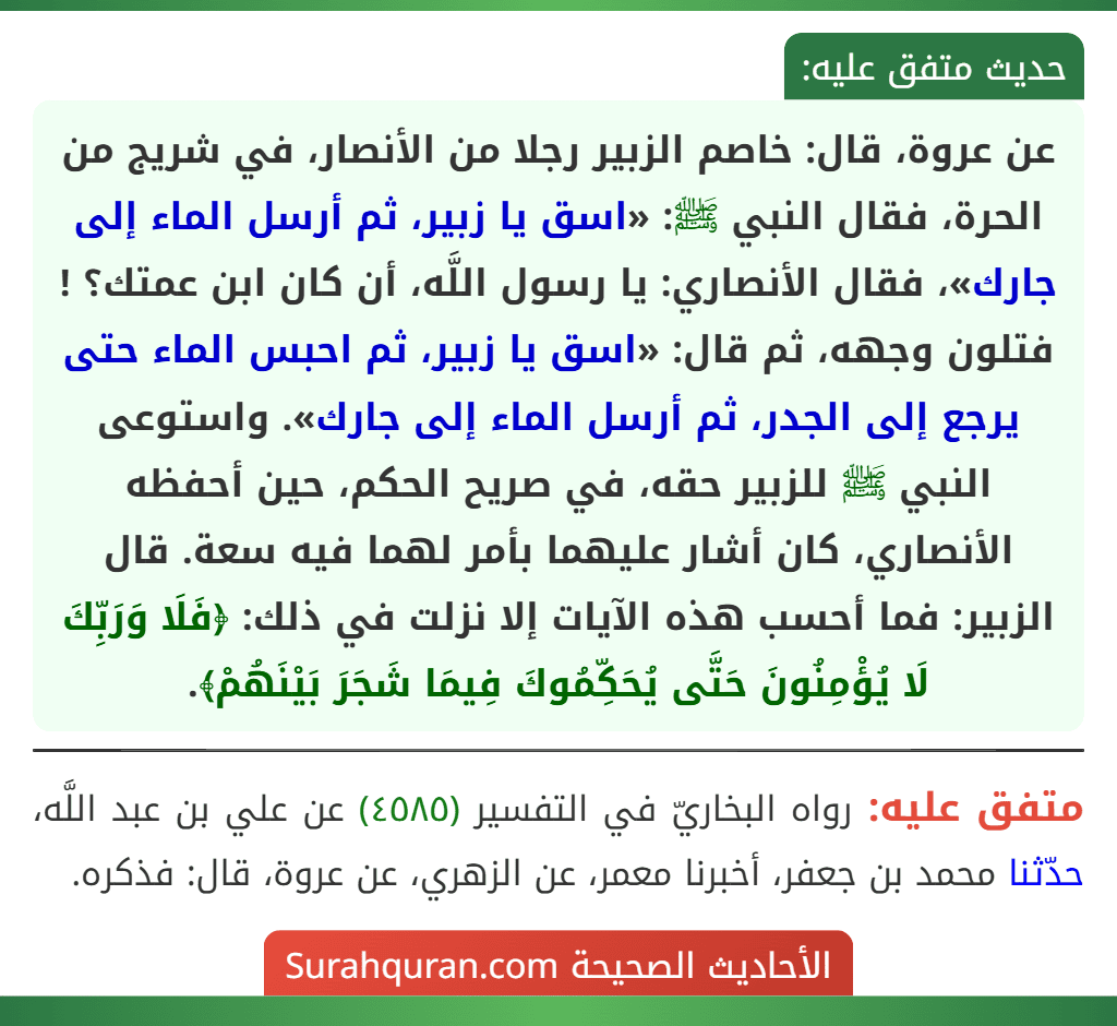 عن عروة، قال: خاصم الزبير رجلا من الأنصار، في شريج من الحرة، فقال النبي ﷺ: «اسق يا زبير، ثم أرسل الماء إلى جارك»، فقال الأنصاري: يا رسول اللَّه، أن كان ابن عمتك؟ ! فتلون وجهه، ثم قال: «اسق يا زبير، ثم احبس الماء حتى يرجع إلى الجدر، ثم أرسل الماء إلى جارك». واستوعى النبي ﷺ للزبير حقه، في صريح الحكم، حين أحفظه الأنصاري، كان أشار عليهما بأمر لهما فيه سعة. قال الزبير: فما أحسب هذه الآيات إلا نزلت في ذلك: ﴿فَلَا وَرَبِّكَ لَا يُؤْمِنُونَ حَتَّى يُحَكِّمُوكَ فِيمَا شَجَرَ بَيْنَهُمْ﴾. عن عروة، قال: خاصم الزبير رجلا من الأنصار، في شريج من الحرة، فقال النبي ﷺ: «اسق يا زبير، ثم أرسل الماء إلى جارك»، فقال الأنصاري: يا رسول اللَّه، أن كان ابن عمتك؟ ! فتلون وجهه، ثم قال: «اسق يا زبير، ثم احبس الماء حتى يرجع إلى الجدر، ثم أرسل الماء إلى جارك». واستوعى النبي ﷺ للزبير حقه، في صريح الحكم، حين أحفظه الأنصاري، كان أشار عليهما بأمر لهما فيه سعة. قال الزبير: فما أحسب هذه الآيات إلا نزلت في ذلك: ﴿فَلَا وَرَبِّكَ لَا يُؤْمِنُونَ حَتَّى يُحَكِّمُوكَ فِيمَا شَجَرَ بَيْنَهُمْ﴾.