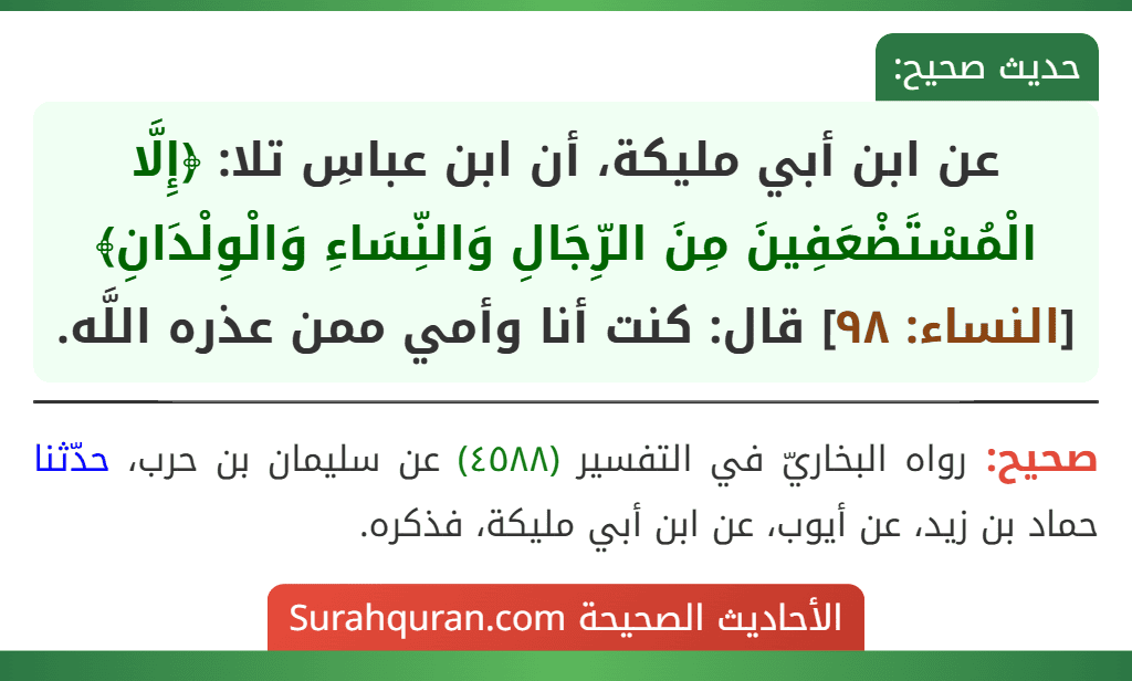 عن ابن أبي مليكة، أن ابن عباسِ تلا: ﴿إِلَّا الْمُسْتَضْعَفِينَ مِنَ الرِّجَالِ وَالنِّسَاءِ وَالْوِلْدَانِ﴾ [النساء: ٩٨] قال: كنت أنا وأمي ممن عذره اللَّه.