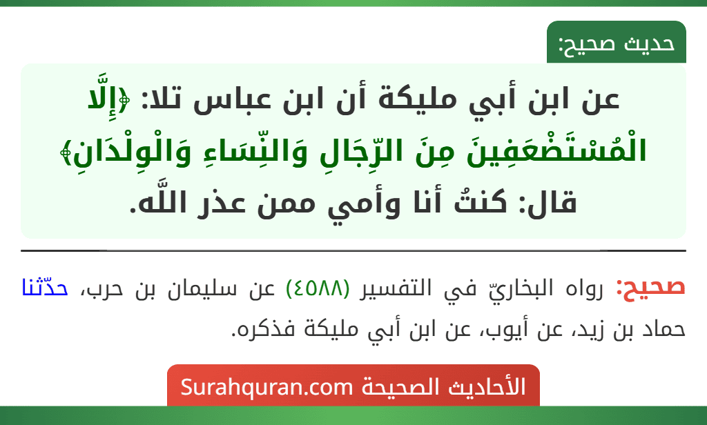 عن ابن أبي مليكة أن ابن عباس تلا: ﴿إِلَّا الْمُسْتَضْعَفِينَ مِنَ الرِّجَالِ وَالنِّسَاءِ وَالْوِلْدَانِ﴾ قال: كنتُ أنا وأمي ممن عذر اللَّه.