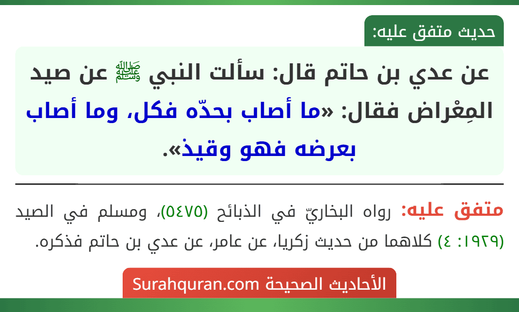 عن عدي بن حاتم قال: سألت النبي ﷺ عن صيد المِعْراض فقال: «ما أصاب بحدّه فكل، وما أصاب بعرضه فهو وقيذ».