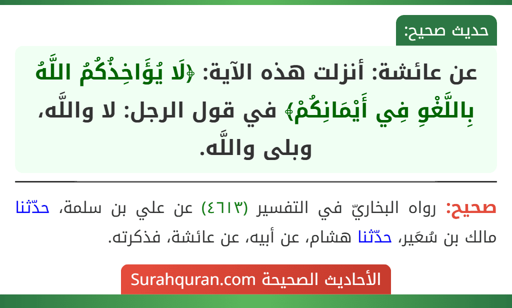 عن عائشة: أنزلت هذه الآية: ﴿لَا يُؤَاخِذُكُمُ اللَّهُ بِاللَّغْوِ فِي أَيْمَانِكُمْ﴾ في قول الرجل: لا واللَّه، وبلى واللَّه. عن عائشة: أنزلت هذه الآية: ﴿لَا يُؤَاخِذُكُمُ اللَّهُ بِاللَّغْوِ فِي أَيْمَانِكُمْ﴾ في قول الرجل: لا واللَّه، وبلى واللَّه.