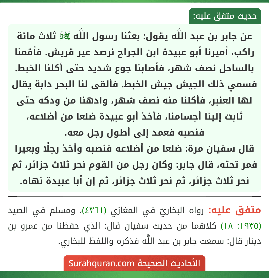 عن جابر بن عبد اللَّه يقول: بعثنا رسول اللَّه ﷺ ثلاث مائة راكب، أميرنا أبو عبيدة ابن الجراح نرصد عير قريش. فأقمنا بالساحل نصف شهر، فأصابنا جوع شديد حتى أكلنا الخبط. فسمي ذلك الجيش جيش الخبط. فألقى لنا البحر دابة يقال لها العنبر، فأكلنا منه نصف شهر، وادهنا من ودكه حتى ثابت إلينا أجسامنا، فأخذ أبو عبيدة ضلعا من أضلاعه، فنصبه فعمد إلى أطول رجل معه.
قال سفيان مرة: ضلعا من أضلاعه فنصبه وأخذ رجلًا وبعيرا فمر تحته، قال جابر: وكان رجل من القوم نحر ثلاث جزائر، ثم نحر ثلاث جزائر، ثم نحر ثلاث جزائر، ثم إن أبا عبيدة نهاه.
