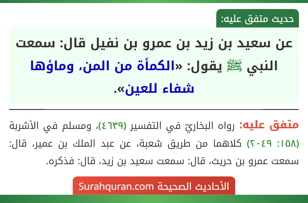 عن سعيد بن زيد بن عمرو بن نفيل قال: سمعت النبي ﷺ يقول: «الكمأة من المن، وماؤها شفاء للعين».