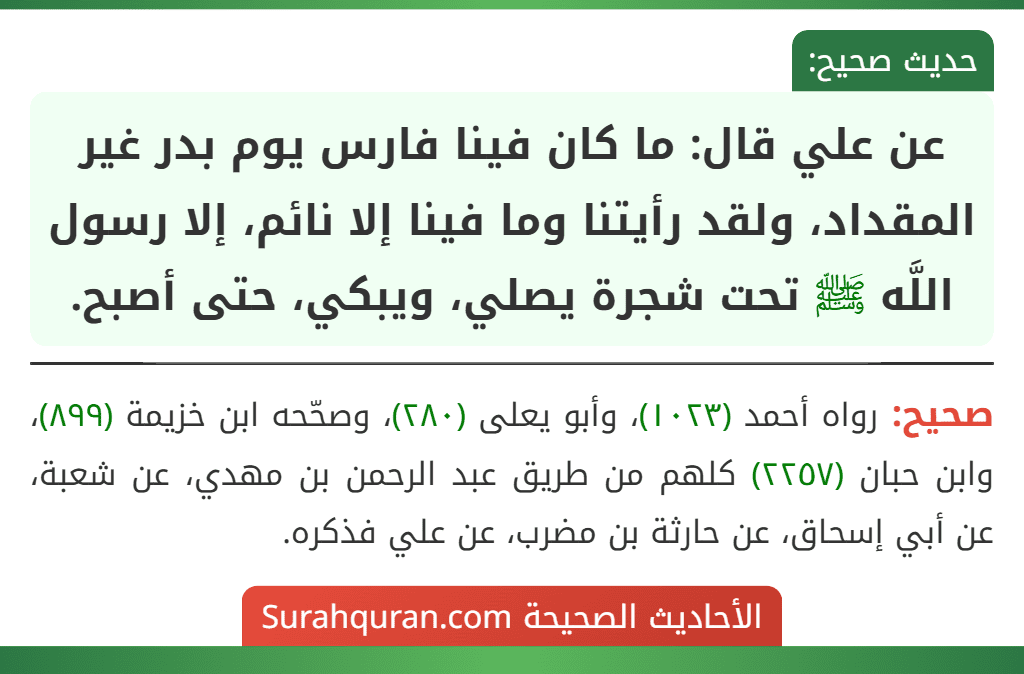 عن علي قال: ما كان فينا فارس يوم بدر غير المقداد، ولقد رأيتنا وما فينا إلا نائم، إلا رسول اللَّه ﷺ تحت شجرة يصلي، ويبكي، حتى أصبح.