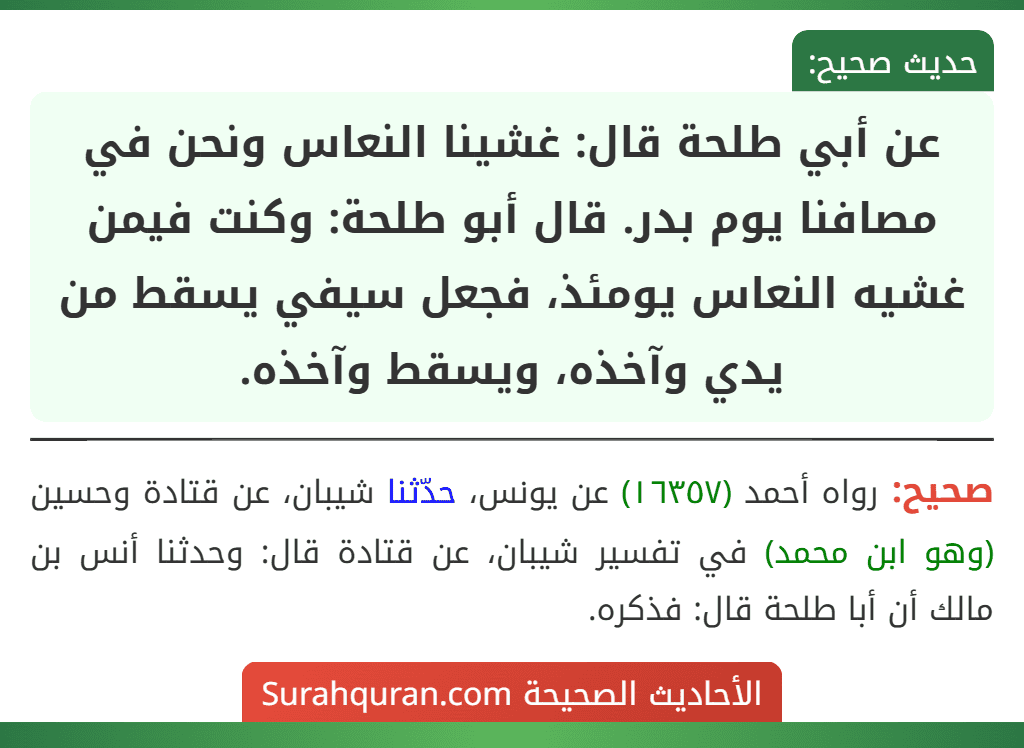 عن أبي طلحة قال: غشينا النعاس ونحن في مصافنا يوم بدر. قال أبو طلحة: وكنت فيمن غشيه النعاس يومئذ، فجعل سيفي يسقط من يدي وآخذه، ويسقط وآخذه.