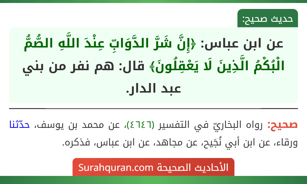 عن ابن عباس: ﴿إِنَّ شَرَّ الدَّوَابِّ عِنْدَ اللَّهِ الصُّمُّ الْبُكْمُ الَّذِينَ لَا يَعْقِلُونَ﴾ قال: هم نفر من بني عبد الدار. عن ابن عباس: ﴿إِنَّ شَرَّ الدَّوَابِّ عِنْدَ اللَّهِ الصُّمُّ الْبُكْمُ الَّذِينَ لَا يَعْقِلُونَ﴾ قال: هم نفر من بني عبد الدار.