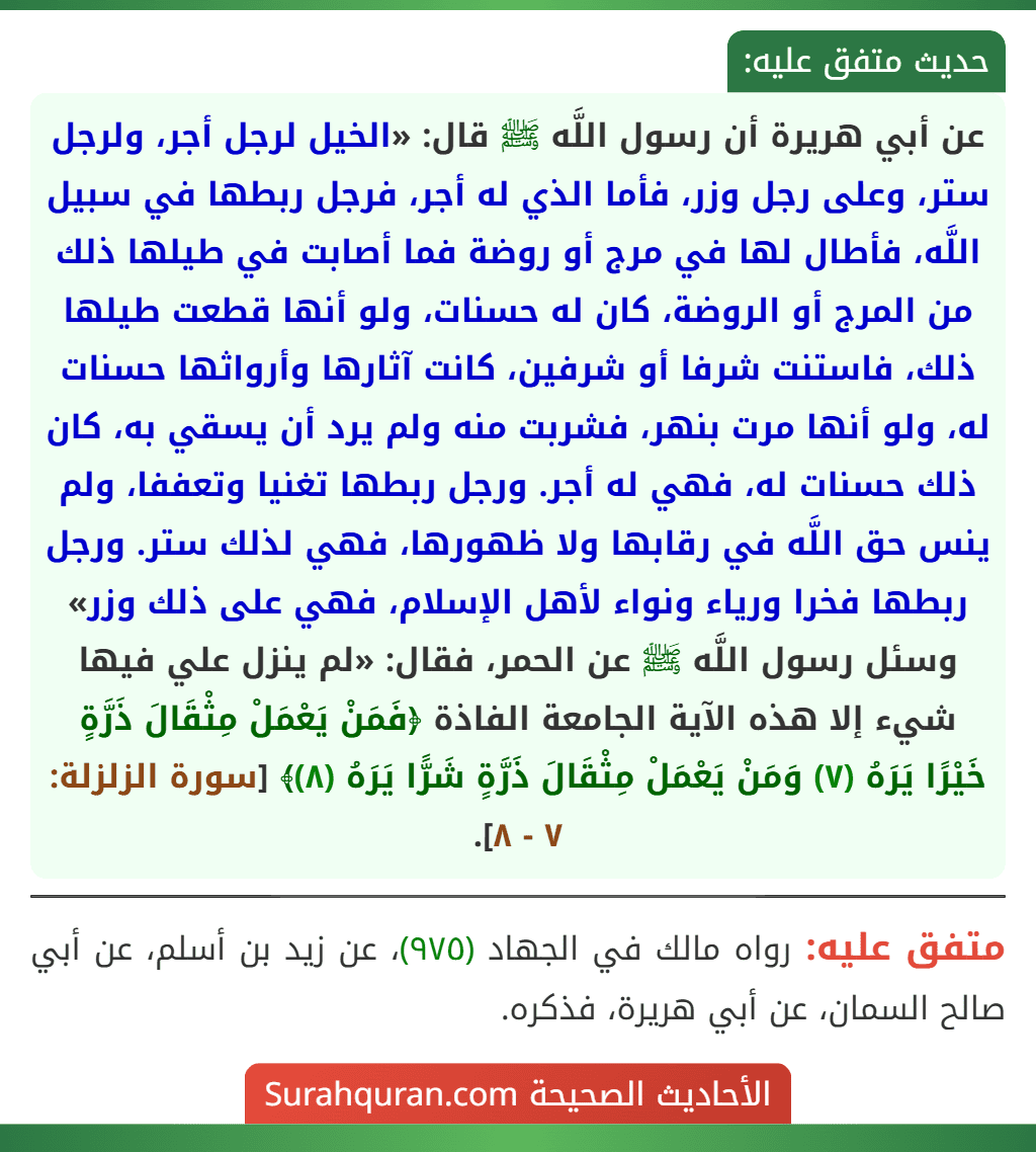 عن أبي هريرة أن رسول اللَّه ﷺ قال: «الخيل لرجل أجر، ولرجل ستر، وعلى رجل وزر، فأما الذي له أجر، فرجل ربطها في سبيل اللَّه، فأطال لها في مرج أو روضة فما أصابت في طيلها ذلك من المرج أو الروضة، كان له حسنات، ولو أنها قطعت طيلها ذلك، فاستنت شرفا أو شرفين، كانت آثارها وأرواثها حسنات له، ولو أنها مرت بنهر، فشربت منه ولم يرد أن يسقي به، كان ذلك حسنات له، فهي له أجر. ورجل ربطها تغنيا وتعففا، ولم ينس حق اللَّه في رقابها ولا ظهورها، فهي لذلك ستر. ورجل ربطها فخرا ورياء ونواء لأهل الإسلام، فهي على ذلك وزر» وسئل رسول اللَّه ﷺ عن الحمر، فقال: «لم ينزل علي فيها شيء إلا هذه الآية الجامعة الفاذة ﴿فَمَنْ يَعْمَلْ مِثْقَالَ ذَرَّةٍ خَيْرًا يَرَهُ (٧) وَمَنْ يَعْمَلْ مِثْقَالَ ذَرَّةٍ شَرًّا يَرَهُ (٨)﴾ [سورة الزلزلة: ٧ - ٨].