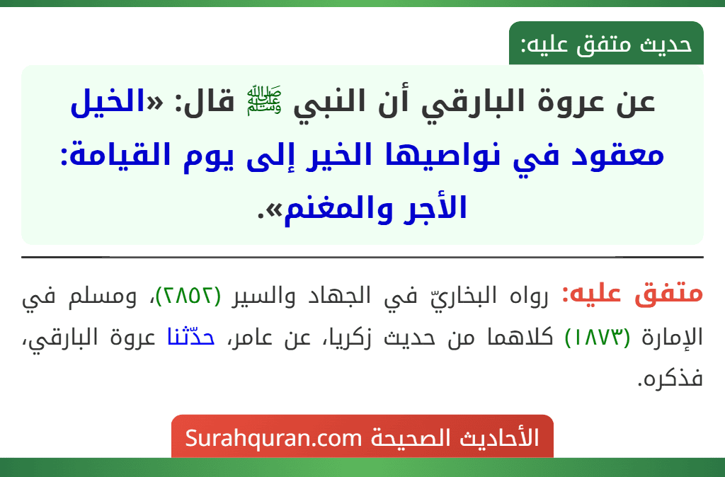 عن عروة البارقي أن النبي ﷺ قال: «الخيل معقود في نواصيها الخير إلى يوم القيامة: الأجر والمغنم». عن عروة البارقي أن النبي ﷺ قال: «الخيل معقود في نواصيها الخير إلى يوم القيامة: الأجر والمغنم».