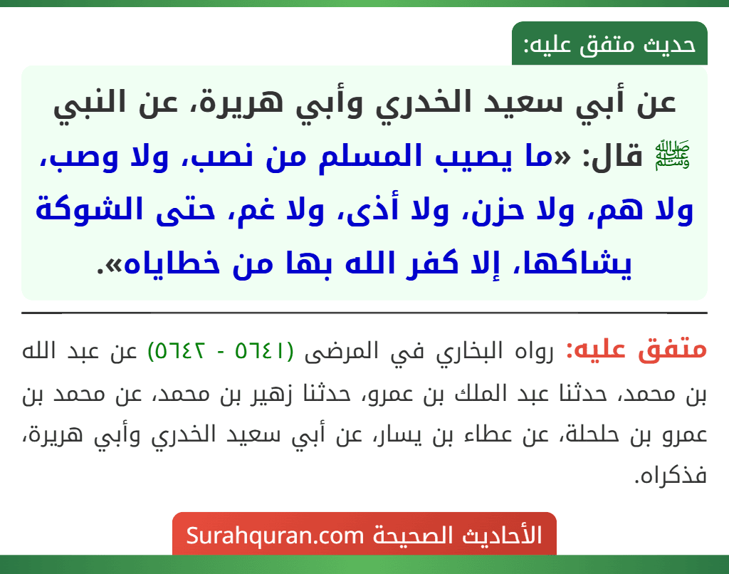 عن أبي سعيد الخدري وأبي هريرة، عن النبي ﷺ قال: «ما يصيب المسلم من نصب، ولا وصب، ولا هم، ولا حزن، ولا أذى، ولا غم، حتى الشوكة يشاكها، إلا كفر الله بها من خطاياه».