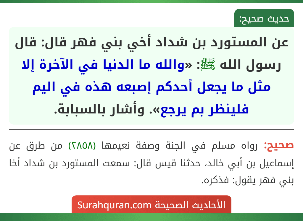 عن المستورد بن شداد أخي بني فهر قال: قال رسول الله ﷺ: «والله ما الدنيا في الآخرة إلا مثل ما يجعل أحدكم إصبعه هذه في اليم فلينظر بم يرجع». وأشار بالسبابة.