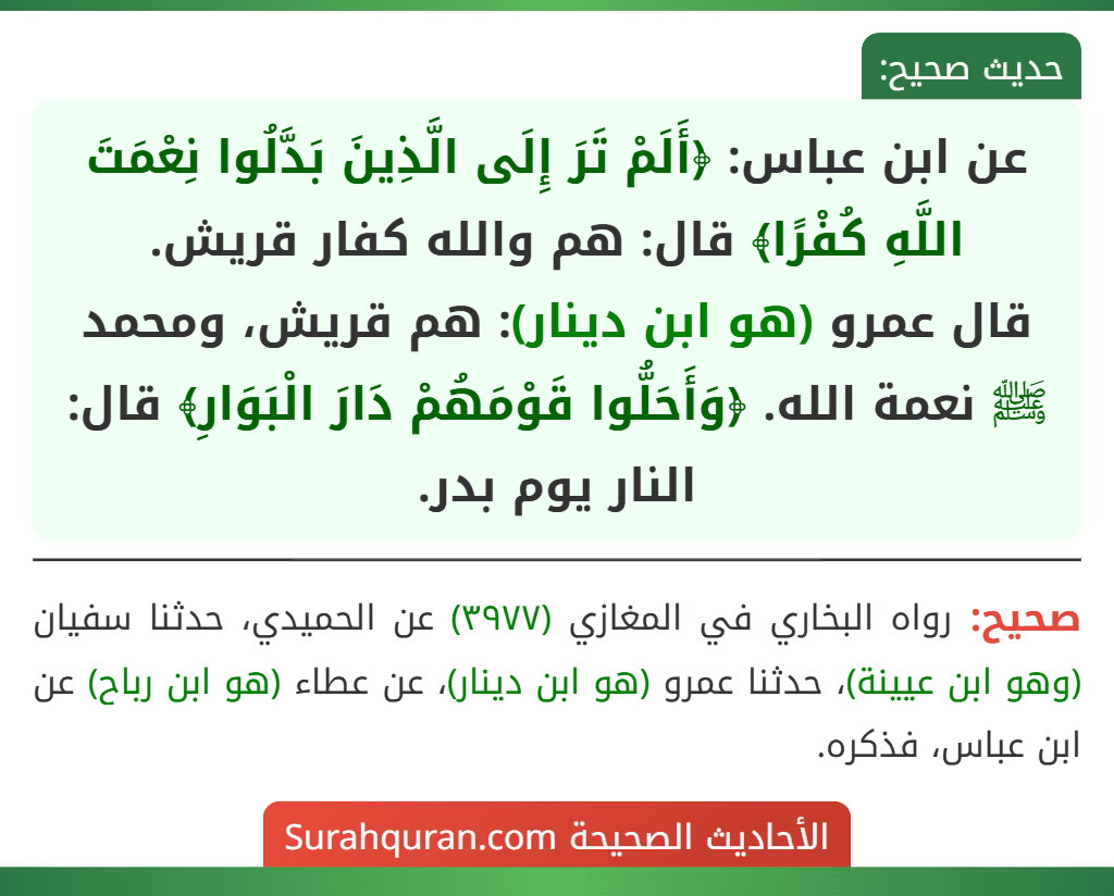 عن ابن عباس: ﴿أَلَمْ تَرَ إِلَى الَّذِينَ بَدَّلُوا نِعْمَتَ اللَّهِ كُفْرًا﴾ قال: هم والله كفار قريش.
قال عمرو (هو ابن دينار): هم قريش، ومحمد ﷺ نعمة الله. ﴿وَأَحَلُّوا قَوْمَهُمْ دَارَ الْبَوَارِ﴾ قال: النار يوم بدر.