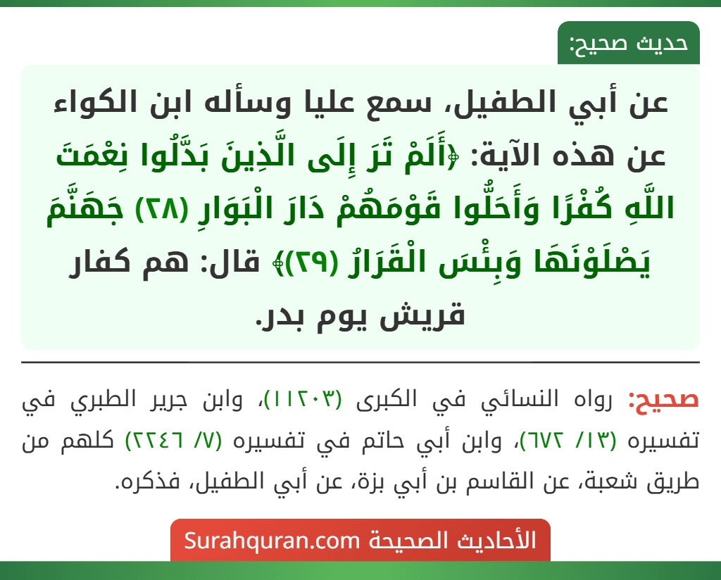 عن أبي الطفيل، سمع عليا وسأله ابن الكواء عن هذه الآية: ﴿أَلَمْ تَرَ إِلَى الَّذِينَ بَدَّلُوا نِعْمَتَ اللَّهِ كُفْرًا وَأَحَلُّوا قَوْمَهُمْ دَارَ الْبَوَارِ (٢٨) جَهَنَّمَ يَصْلَوْنَهَا وَبِئْسَ الْقَرَارُ (٢٩)﴾ قال: هم كفار قريش يوم بدر.
