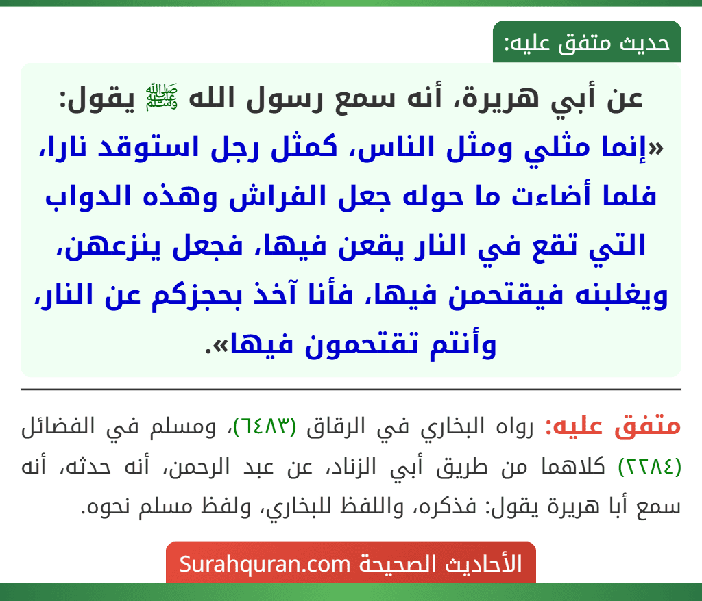 عن أبي هريرة، أنه سمع رسول الله ﷺ يقول: «إنما مثلي ومثل الناس، كمثل رجل استوقد نارا، فلما أضاءت ما حوله جعل الفراش وهذه الدواب التي تقع في النار يقعن فيها، فجعل ينزعهن، ويغلبنه فيقتحمن فيها، فأنا آخذ بحجزكم عن النار، وأنتم تقتحمون فيها». عن أبي هريرة، أنه سمع رسول الله ﷺ يقول: «إنما مثلي ومثل الناس، كمثل رجل استوقد نارا، فلما أضاءت ما حوله جعل الفراش وهذه الدواب التي تقع في النار يقعن فيها، فجعل ينزعهن، ويغلبنه فيقتحمن فيها، فأنا آخذ بحجزكم عن النار، وأنتم تقتحمون فيها».