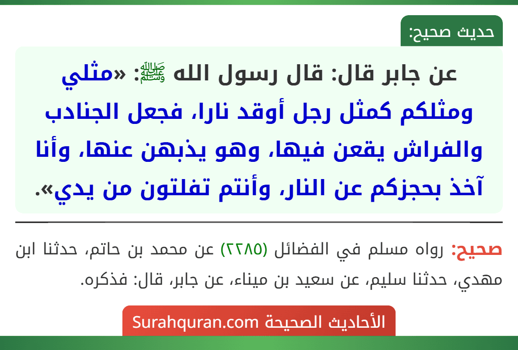 عن جابر قال: قال رسول الله ﷺ: «مثلي ومثلكم كمثل رجل أوقد نارا، فجعل الجنادب والفراش يقعن فيها، وهو يذبهن عنها، وأنا آخذ بحجزكم عن النار، وأنتم تفلتون من يدي».