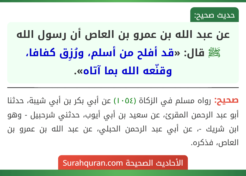 عن عبد الله بن عمرو بن العاص أن رسول الله ﷺ قال: «قد أفلح من أسلم، ورُزِق كفافا، وقنّعه الله بما آتاه».