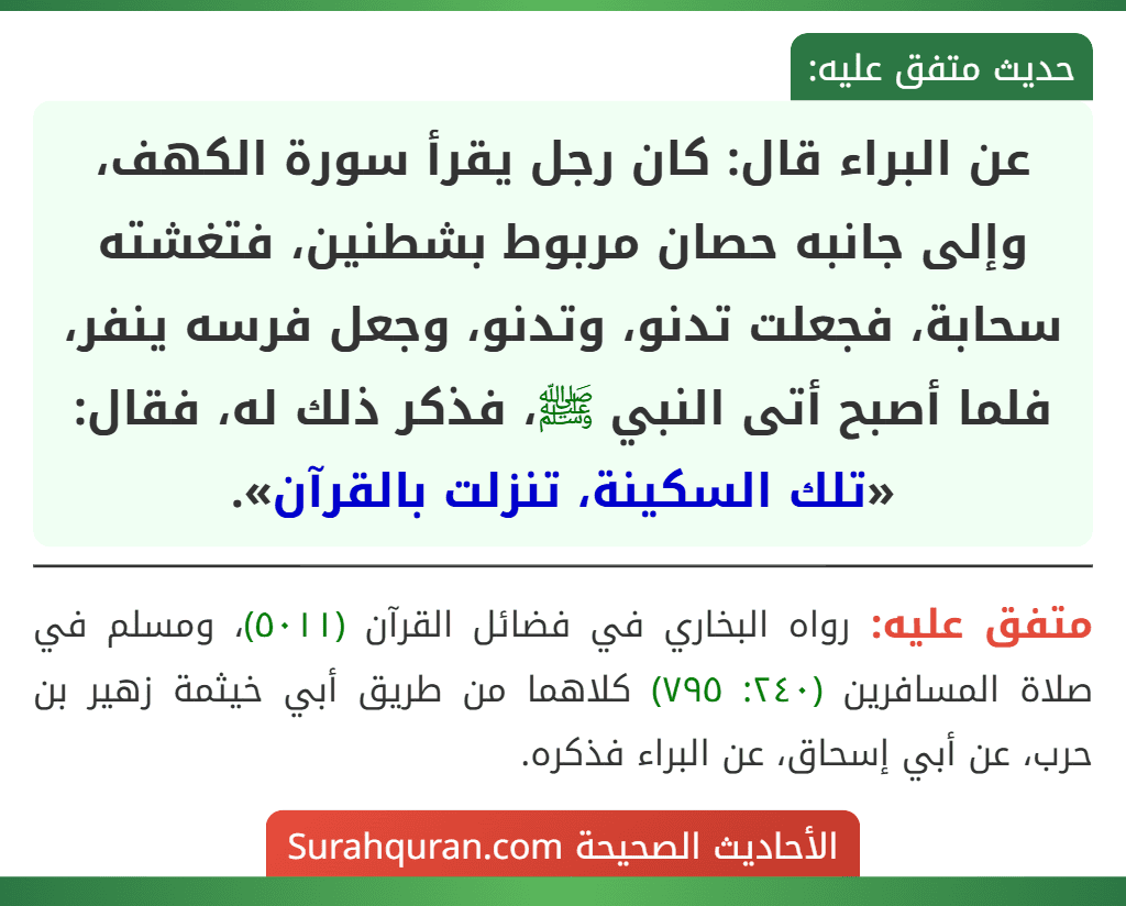 عن البراء قال: كان رجل يقرأ سورة الكهف، وإلى جانبه حصان مربوط بشطنين، فتغشته سحابة، فجعلت تدنو، وتدنو، وجعل فرسه ينفر، فلما أصبح أتى النبي ﷺ، فذكر ذلك له، فقال: «تلك السكينة، تنزلت بالقرآن».