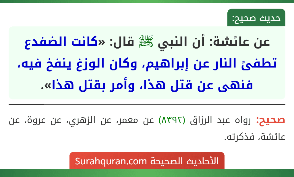 عن عائشة: أن النبي ﷺ قال: «كانت الضفدع تطفئ النار عن إبراهيم، وكان الوزغ ينفخ فيه، فنهى عن قتل هذا، وأمر بقتل هذا». عن عائشة: أن النبي ﷺ قال: «كانت الضفدع تطفئ النار عن إبراهيم، وكان الوزغ ينفخ فيه، فنهى عن قتل هذا، وأمر بقتل هذا».